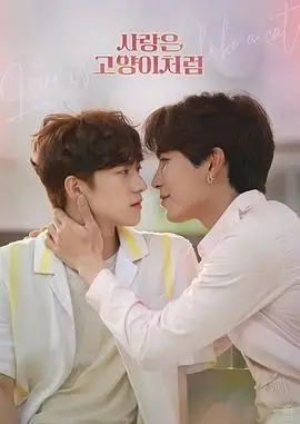 《爱情像猫一样》：跨越次元的甜蜜爱恋，看猫系男如何俘获你的心！